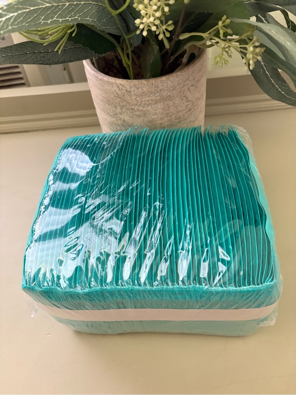 Bubble Mailers 4x8 Padded Envelopes